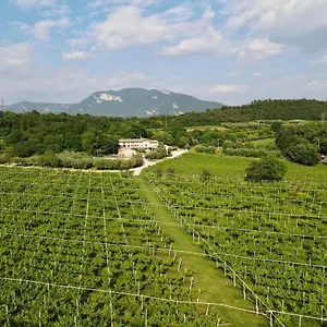 Serene Holiday&wine Farm Affi